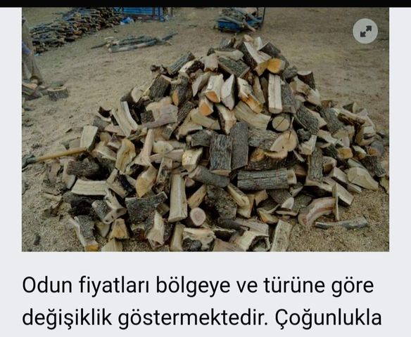 Deze afbeelding heeft een leeg alt-attribuut; de bestandsnaam is 417391322_6880353612083752_9144321061843754728_n.jpg